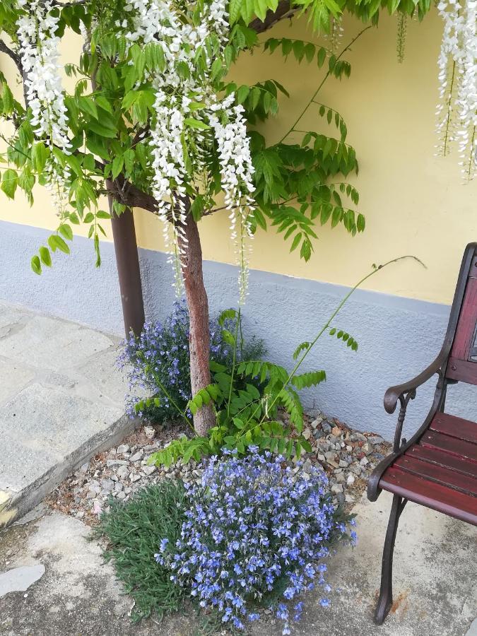 Penzion La Casa Dei Masue' Alba  Exteriér fotografie