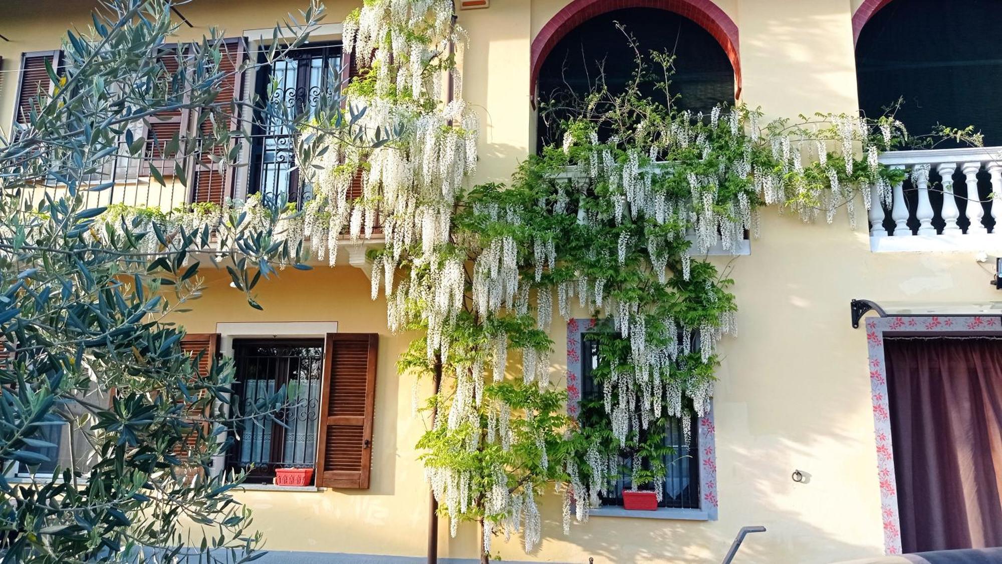 Penzion La Casa Dei Masue' Alba  Exteriér fotografie
