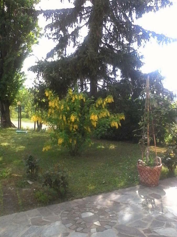Penzion La Casa Dei Masue' Alba  Exteriér fotografie