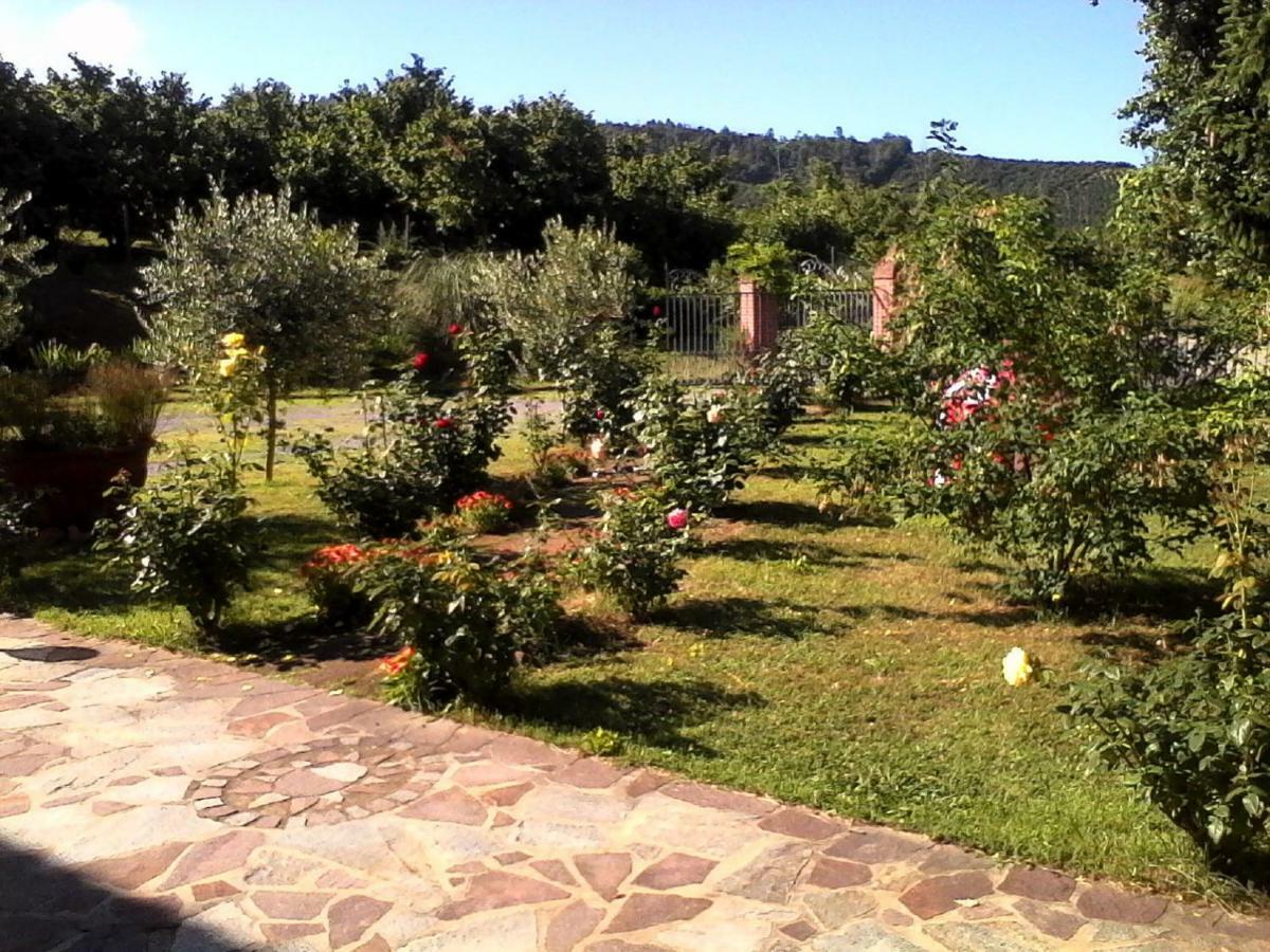 Penzion La Casa Dei Masue' Alba  Exteriér fotografie