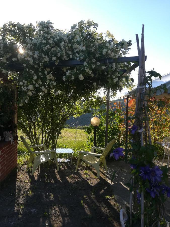 Penzion La Casa Dei Masue' Alba  Exteriér fotografie